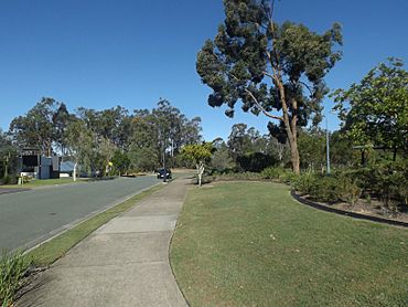 Scoparia Drive at Brookwater, Queensland.jpg