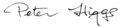 Signature of British physicist Peter Higgs