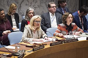 Sigrid Kaag UN Security Council