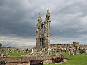 St Andrews Cathedral-2007 1