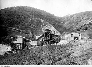 Stonyfell quarry PRG-280-1-35-86