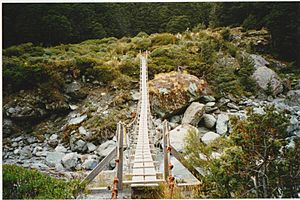 Suspension Bridge - Dart River (Otago)