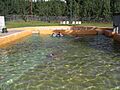 Tahkini Hot Springs 4
