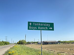 Tankersley, Texas road sign