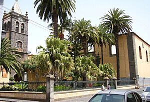 Tenerife2005 008