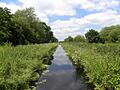 The Glastonbury Canal (geograph 2438616)
