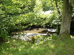 The River Dove near the Daffy Cafe in Farndale - geograph.org.uk - 207439