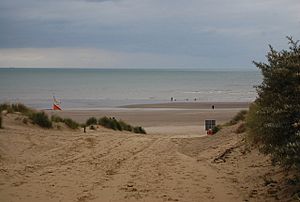 The beach at Camber from a footpath - geograph.org.uk - 1504182.jpg