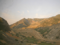 Thistleslide