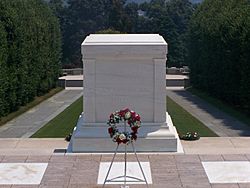 Tomb of the Unknowns crack