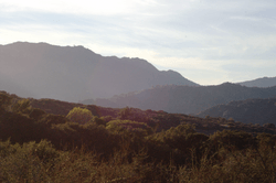 View of Topanga Canyon from one of the hiking trails