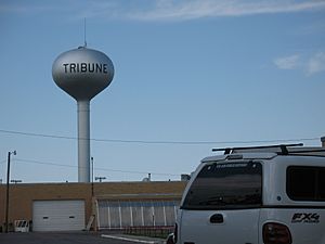 Tribune Water Tower