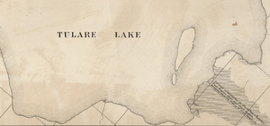 Tulare Lake western short root and bird island
