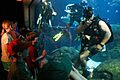 US Navy 090608-N-3271W-053 Sailors assigned to Mobile Diving and Salvage Unit (MDSU) 2 based in Little Creek, Va., dive in the Tennessee Aquarium saltwater tank during a Chattanooga Navy Week event