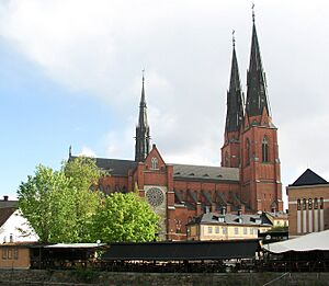 Uppsala domkyrka view01sml