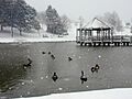 Vlasis Park, Ballwin, Missouri