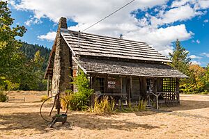 Wagner House, Powers - DPLA - a19b13870ecebcad515b1ba5d538e656