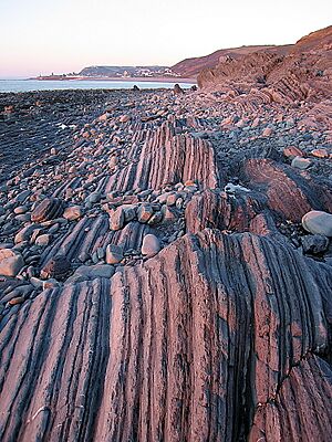 Wave-cut platform below Allt Wen - geograph.org.uk - 1751658