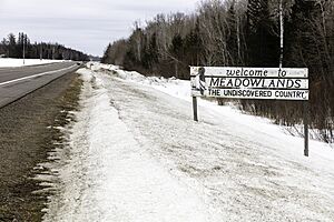 Welcome to Meadowlands sign