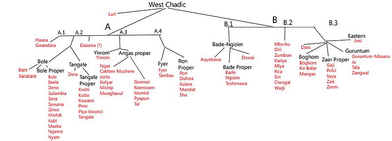 West Chadic Languages