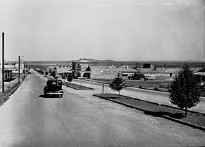 Whyalla - view of a street (Essington Lewis Avenue)(GN15229)