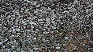 Wish Tree at Aira Force