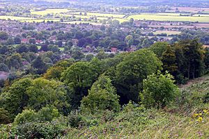 Woodland on the slopes of Whiteleaf Hill - geograph.org.uk - 1458725