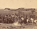 Working with cattle Empire Ranch Arizona 1890s