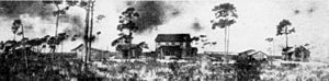Yamato Colony 1908