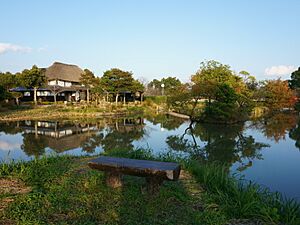 Yokotake Creek Park in autumn 2016-11-11 03