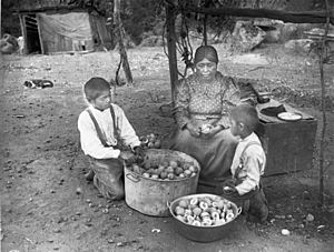 Yokut Indian women and two boys preparing peaches, Tule River Reservation near Porterville, California, ca.1900 (CHS-3796)