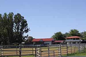 1961 - Glen Innes Showground - View to refreshment rooms and show society office (5062627b11)