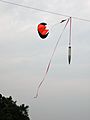 2005-06-25 Parachute caught on wire