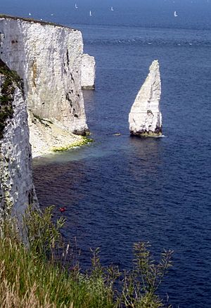 2012-07-21 The Pinnacles by Old Harry Rocks