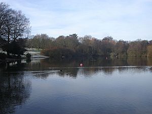 Acton Park lake, Wrexham