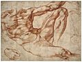Adam study - Michelangelo