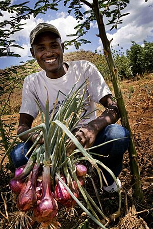 Africa Food Security 21 (10665132276)