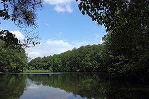 Aldridge Gardens Lake