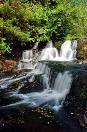 Alsea Falls (Benton County, Oregon scenic images) (benDA0085).jpg