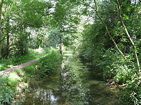 Andover canal near romsey.jpg