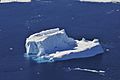 Antarctic Sea Ice - Amundsen Sea