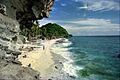 Apo island - panoramio