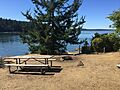 Picnic table and trees on Blind Island