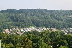 Brugg Lauffohr 8306