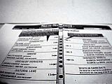 Butterfly Voters View
