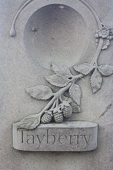Carving of a Tayberry, on the banks of the River Tay in Perth