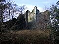 Castell Trefdraeth-Newport Castle from the churchyard - geograph.org.uk - 679557