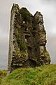 Castles of Munster, Cloondooan, Clare (2) - geograph.org.uk - 1541393