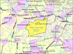 Census Bureau map of Randolph, New Jersey