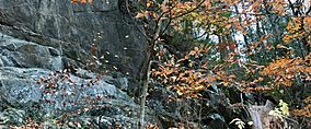 Cliff face off of the Henry Buck Trail in American Legion State Forest.jpg